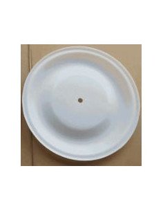 DIAFRAGMA EN PTFE