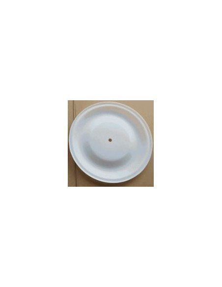 DIAFRAGMA EN PTFE