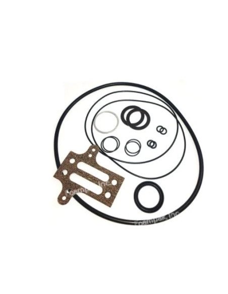 Kit de Reparación para Motor NXT 6500 Graco, NXT600