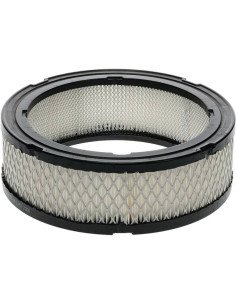 Air Filter 16-18 HP Vanguard (Series 356447) 394018, 100-131