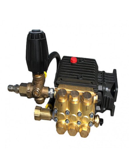 Assy, Pump w/Plumbing, TP2530J34/401