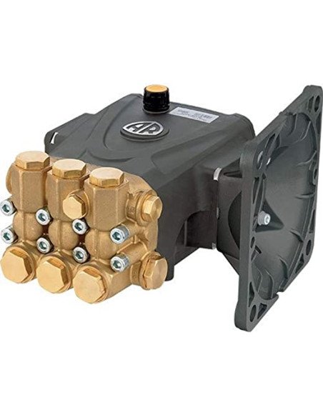Pump, AR 3 GPM @ 3600 PSI  1" Hollow Shaft, RRV3G36D-F24