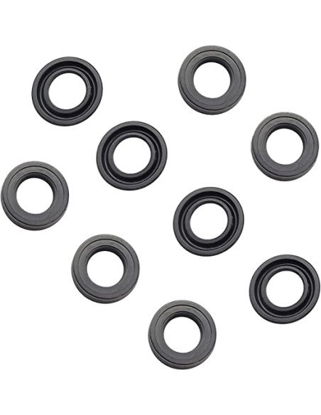 Kit, Water Seal  RMV (2.5 GPM 6-Seals), AR2235 