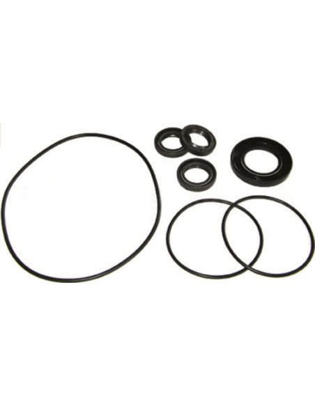 Kit, Oil Seal, AR2873 