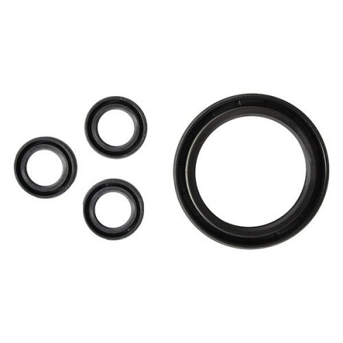 Kit, Oil Seal (RRV), AR42555 