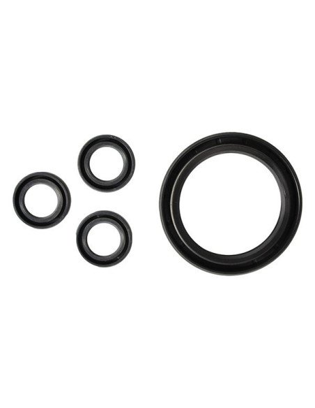 Kit, Oil Seal (RRV), AR42555 