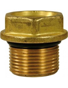Valve Cap, 66130141