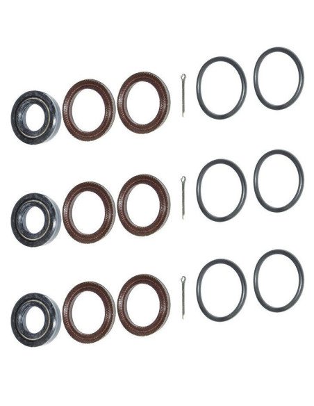 Kit, Seal W/S-SPG NBR 4SF, 34054