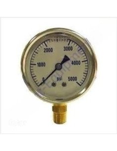 DPac - Manómetro, 5000 PSI, 10-305